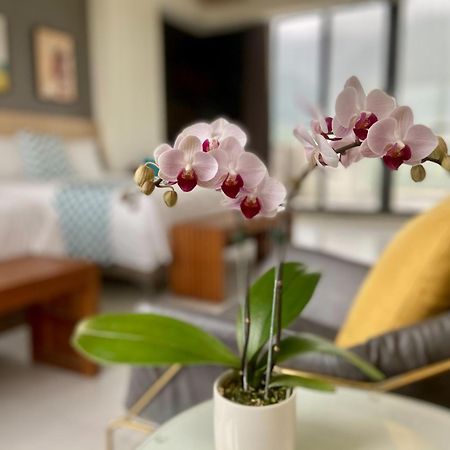 Follow The Cloud B&B Jialin Pokoj fotografie