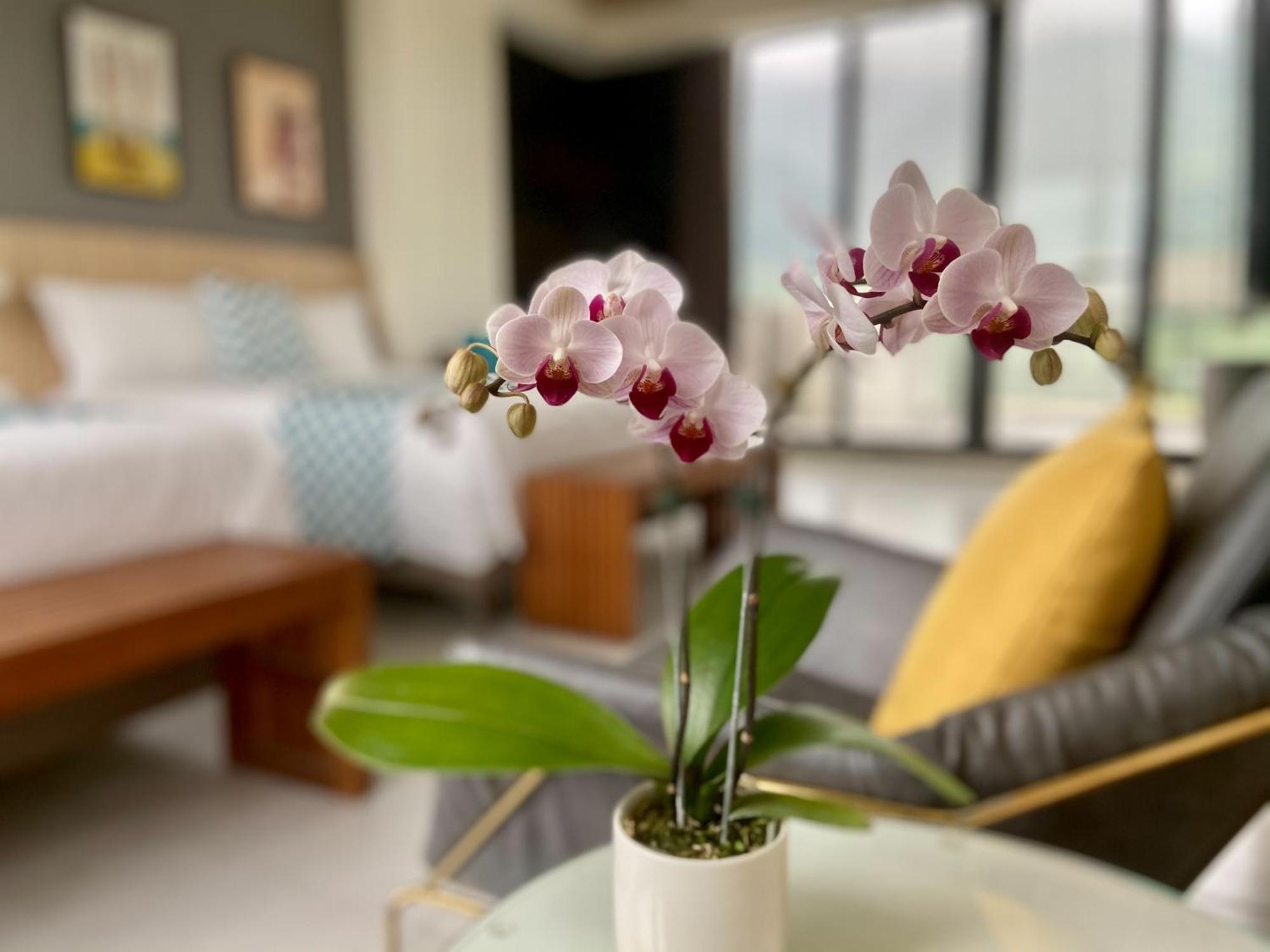 Follow The Cloud B&B Jialin Pokoj fotografie